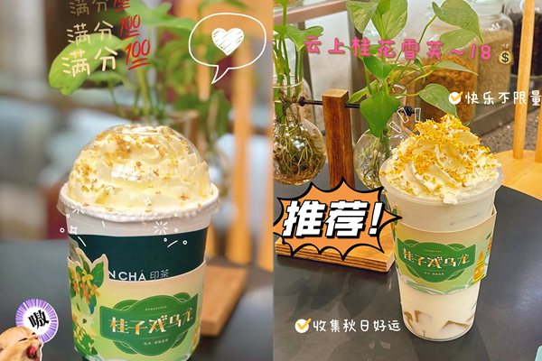 奶茶品牌连锁加盟,奶茶费用多少?