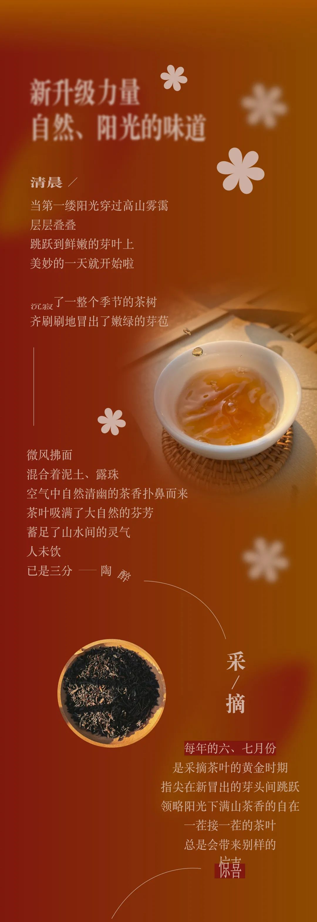 印茶奶茶