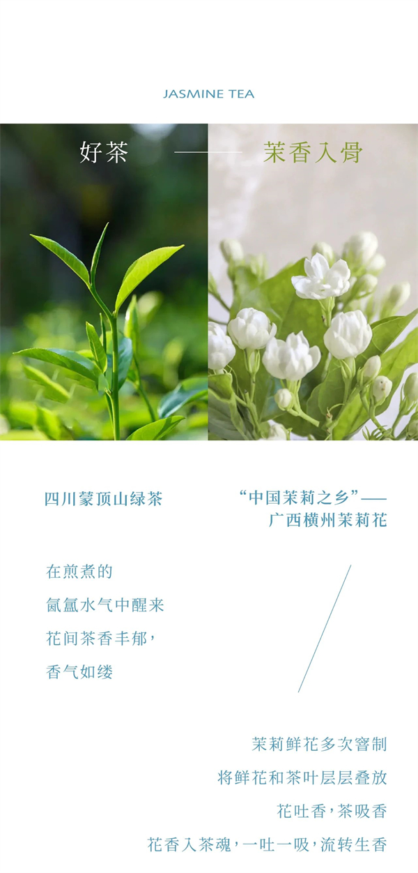 免费周边&免费喝|印茶 X OATLY，共坠茉莉花海