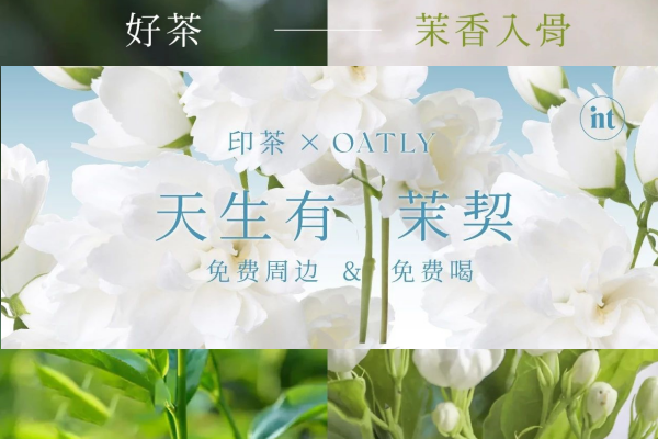 免费周边&免费喝|印茶 X OATLY，共坠茉莉花海